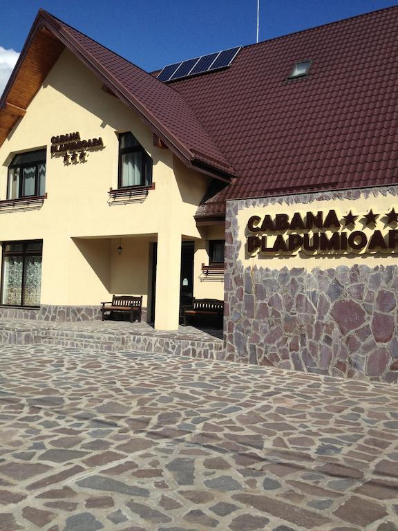 Cabana Plapumioara Crucea 外观 照片